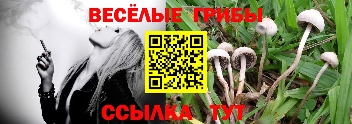 Псилоцибиновые грибы ЛСД  Галлюциногенные грибы MAGIC MUSHROOMS  Лысьва  Вход с VPN 